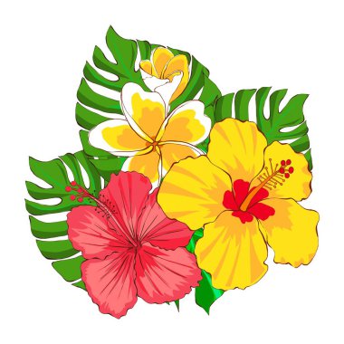 Çiçekli tropik çiçek ve yapraklar, beyaz arka planda elle çizilmiş resimler. Egzotik Plumeria çiçekleri ve kırmızı ve sarı amberçiçeği. Paketleme için yazıcı tasarımı.