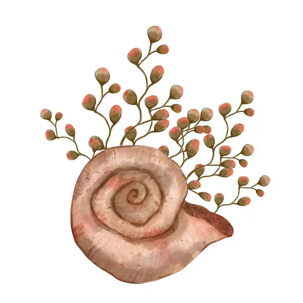 Spiral seashell with seaweed bush. Watercolor hand drawn illustration, isolated on white background for icon or logo. Print for cards or textile design. Coral reef and underwater life.