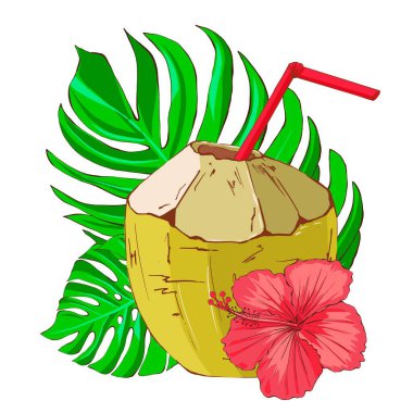 Kırmızı pipetli yeşil hindistan cevizi, canavar yaprağı ve tropikal çiçek. Egzotik tropik içecek. Beyaz arka planda düz bir şekilde el çizimi. Bir bar menüsü veya plaj partisi için çizimler.