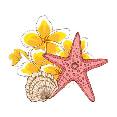 Spiral kabuklu deniz kompozisyonu, Plumeria çiçekleri ve pembe deniz yıldızı. Davetiyeler, kartlar, kumaşlar için yaz baskısı. Beyaz arkaplanda düz bir şekilde el çizimi çizimi