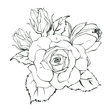 El çizimi kompozisyon zarif gül ve çizgi sanatında tomurcuklar. Logo, etiket, baskı ve poster için minimalist tarzda siyah beyaz bir çiçek tasarımı. İzole edilmiş