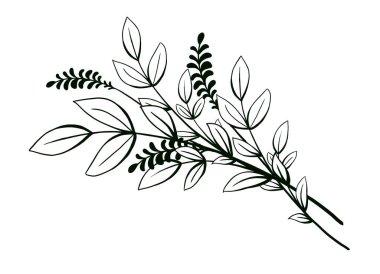 Bir buket dallar, yabani ve bahçe çiçekleri. Düğün davetiyesi, kartpostal, çıkartma, tebrik kartı için minimalist tarzda el çizimi botanik illüstrasyon.