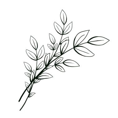 Sanat tarzında bir buket yeşillik dalları. Düğün davetiyesi, kartpostal, çıkartma, tebrik kartı için minimalist tarzda el çizimi botanik illüstrasyon