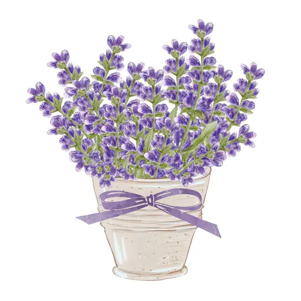 Beyaz arka planda lavanta çiçekleri ve kırsal dekor elementleri var. Suluboya el çizimi botanik çizim. Tebrik kartı ve düğün davetiyesi için buket ve çiçek dalı.