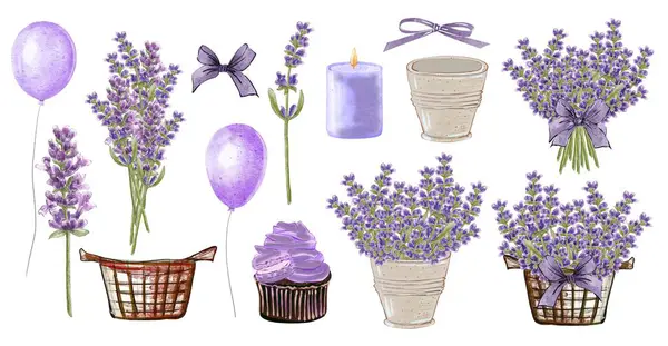 Beyaz arka planda lavanta çiçekleri ve kırsal dekor elementleri var. Suluboya el çizimi botanik çizim. Tebrik kartı ve düğün davetiyesi için buket ve çiçek dalı.