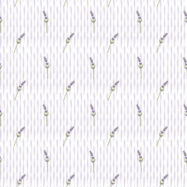 Çiçeksiz desenli lavanta ve kırsal dekorlu. Provence çiçekli arka plan. Tekstil, ambalaj, ev dekorasyonu için suluboya el çizimi
