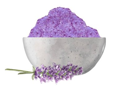 Masaj tuzu ve lavanta çiçekli taş kâse. Aromaterapi, spa malzemeleri. Sıhhat, masaj, spa salonu, spa konsepti için elle çizilmiş suluboya çizimi