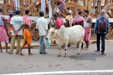 Püre Odisha Hindistan 'daki Ratha Yat Festivali' nden önce Savaş Arabası (Rath)