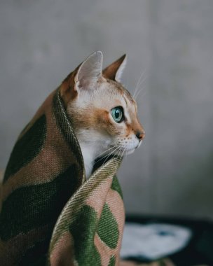 Nazik Ellerde Altın Çiçekler