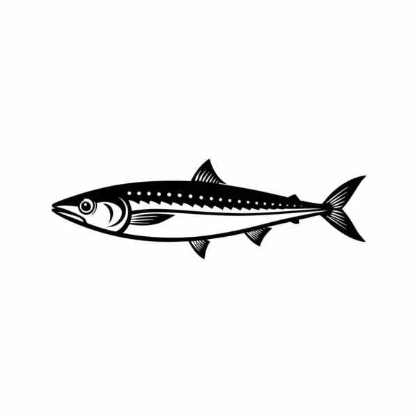 stock vector A silhouette of a fish mackerel vector illustration.