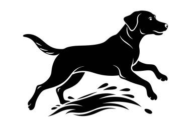 silhouette of a Labrador Retriever jumping through water splashes  clipart