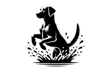 silhouette of a Labrador Retriever jumping through water splashes  clipart