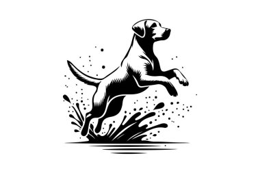 silhouette of a Labrador Retriever jumping through water splashes  clipart