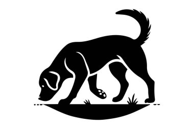 silhouette of a Labrador Retriever sniffing the ground attentively. clipart