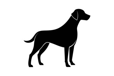 Minimalist Labrador Retriever Silueti Sallanan Kuyruklu Ayakta Uyarı