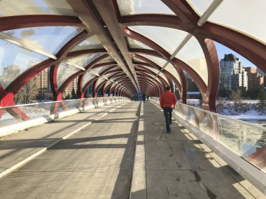 Calgary 'de sıcak bir kış gününde, kırmızı yaya köprüsünde, popüler turistik bölgede yürüyen bir adam.