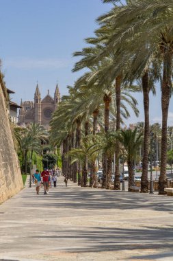 Palma, Mallorca, İspanya - 14 Mayıs 2024: Palma 'daki tarihi Bazilika Katedrali' nden turistler
