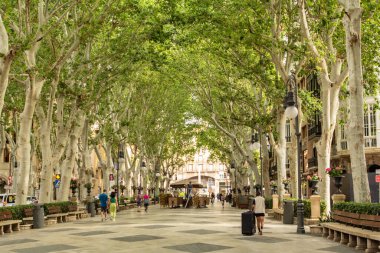 Palma, Mallorca İspanya - 12 Mayıs 2024: Palma şehir merkezindeki cadde üzerinde ağaçlar oluşturan ve kemerlerle popüler alışveriş bölgesini keşfeden turistler