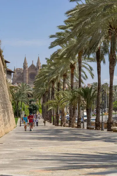 Palma, Mallorca, İspanya - 14 Mayıs 2024: Palma 'daki tarihi Bazilika Katedrali' nden turistler