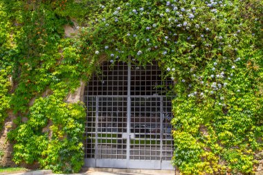 Çiçekli yemyeşil sarmaşık İspanya sokakları boyunca kemerli girişi olan eski bir taş duvarı çerçeveler.