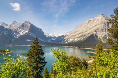 Turkuaz sular, arka planda Rocky dağları ve yemyeşil çalılar ve Kanada 'da sıcak bir yaz gününde ön planda daima yeşil ağaçlar.