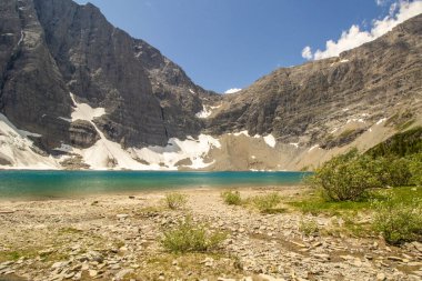 Buzul dağı, kayalık kıyı şeridiyle kristal berrak bir göle ve mavi gökyüzü ile sıcak güneşli bir günde ön planda bir çalıya besleniyor.