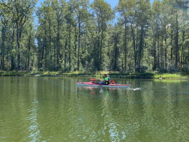 Cranbrook, British Columbia, Kanada - 08 / 01 / 2019: Parlak renkler giyen bir kadın yemyeşil ağaçlı kıyı şeridi boyunca bir gölde kano sürüyor