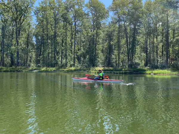 Cranbrook, British Columbia, Kanada - 08 / 01 / 2019: Parlak renkler giyen bir kadın yemyeşil ağaçlı kıyı şeridi boyunca bir gölde kano sürüyor