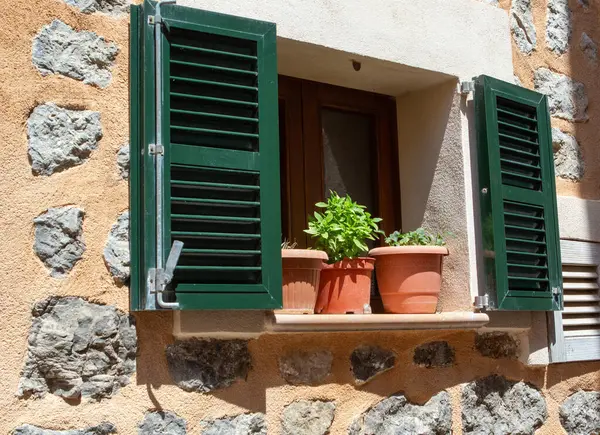 Çiçekler sıcak ve güneşli bir günde panjurlu eski bir binanın avlusunda sergilenir.