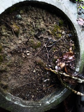 Bahçedeki eski paslı demir boru.