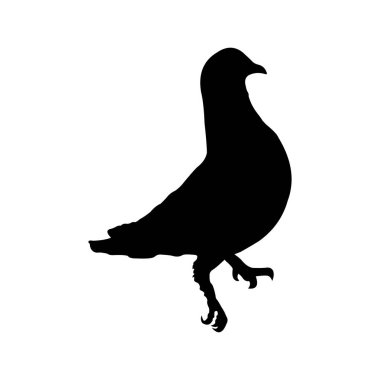 karga vektör simgesi, siyah siluet, beyaz arkaplanda izole.