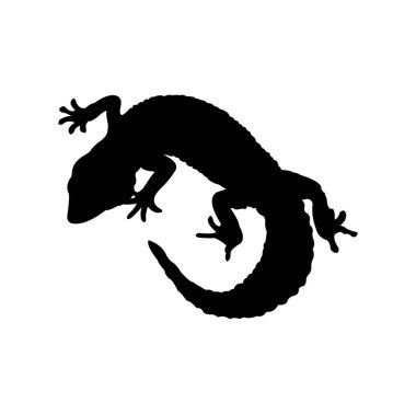 Kertenkele silueti. Siyah bir kertenkele silueti