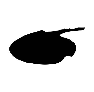 Beyaz arkaplanda bir tavuğun vektör silueti.