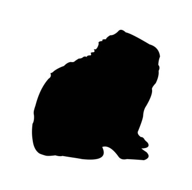 Ayı simgesi. Ayı silueti. Ayı vektör simgesi. Siyah ayı silueti.