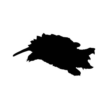 Beyaz arkaplan vektör illüstrasyon tasarımı üzerinde siluet kaplumbağa başı