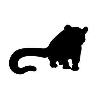 Beyaz arka planda sincabın silueti