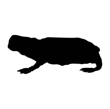 Siyah bir köpeğin silueti.