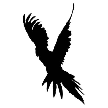 Beyaz arka planda uçan kuşun siyah silueti