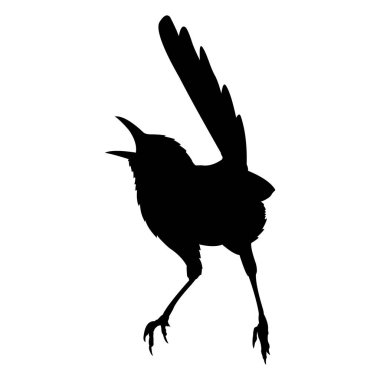 Siyah kuşun silueti