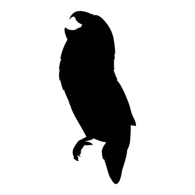 siyah bir penguen silueti