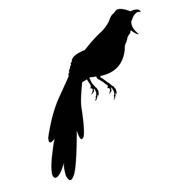 Beyaz arkaplanda siyah kuzgun silueti