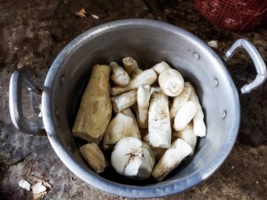 Bir sürü beyaz mantar.