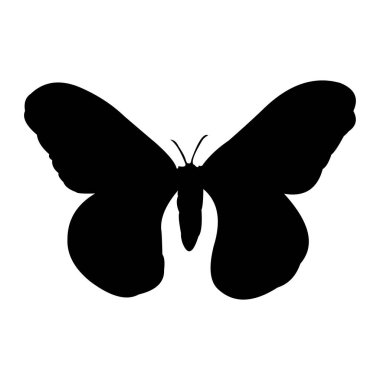 Kelebek vektör resimleme arkaplanı