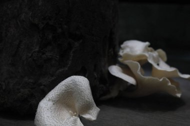 Mantarlar yemek için birkaç lezzetli yiyeceğe dönüştürülebilir.