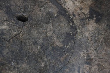 Bir kesik günlüğünün soyut fotoğrafı