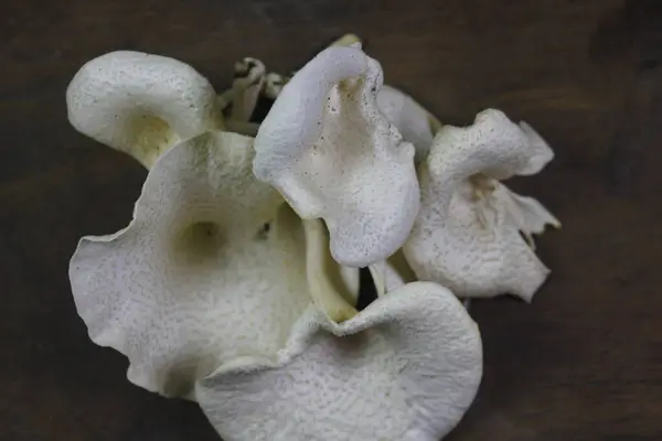 Mantarlar yemek için birkaç lezzetli yiyeceğe dönüştürülebilir.