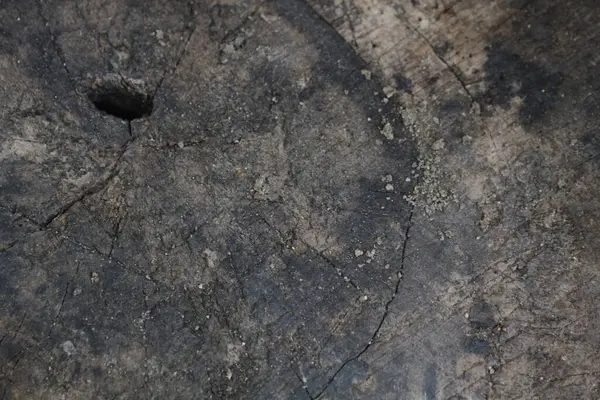 Bir kesik günlüğünün soyut fotoğrafı