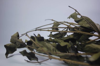 Yapraklar kan basıncını düşürebilir