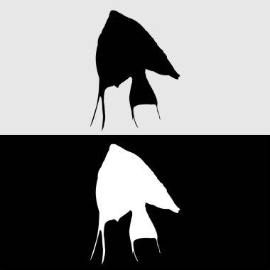 Siyah ve beyaz renkli melek balığı logosu tasarımı