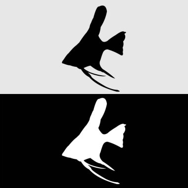 Siyah ve beyaz renkli melek balığı logosu tasarımı